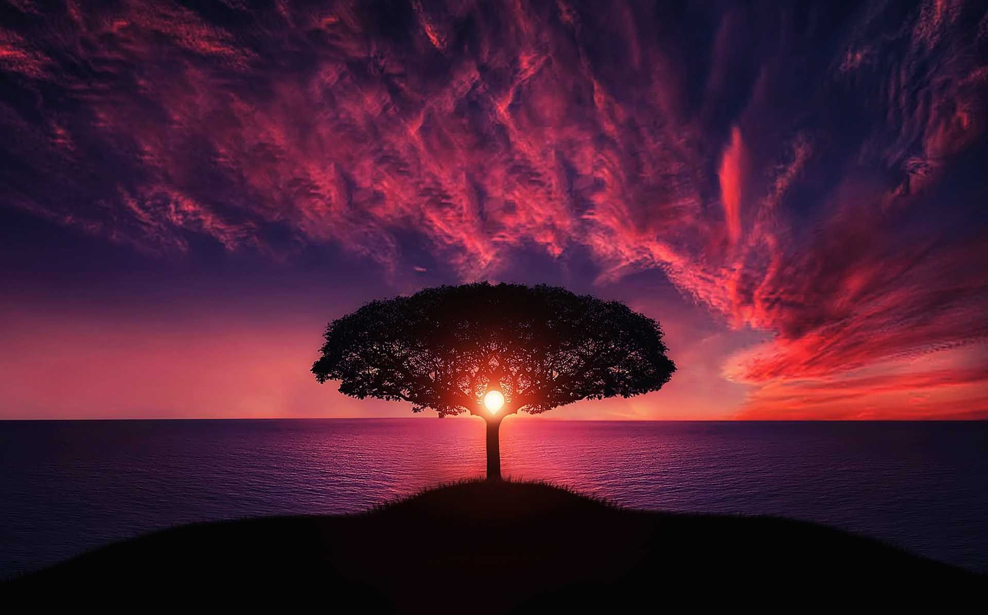 maestria del reiki