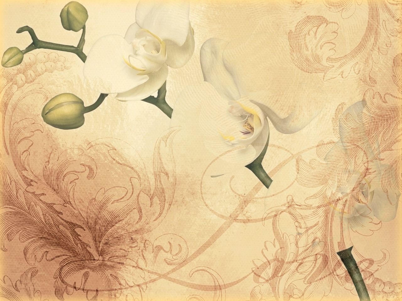 tarot intuitivo gijon